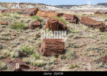 Teile der Protokolle von den versteinerten Wald herumliegen in Arizona Stockfoto