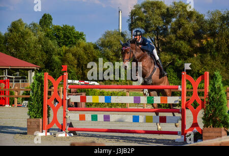 Reiten Sie, World Cup, Bozhurishte, Sofia, Bulgarien Stockfoto