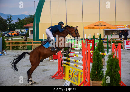 Reiten Sie, World Cup, Bozhurishte, Sofia, Bulgarien Stockfoto