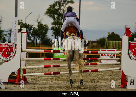 Reiten Sie, World Cup, Bozhurishte, Sofia, Bulgarien Stockfoto