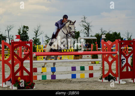 Reiten Sie, World Cup, Bozhurishte, Sofia, Bulgarien Stockfoto