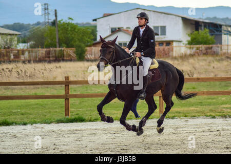 Reiten Sie, World Cup, Bozhurishte, Sofia, Bulgarien Stockfoto