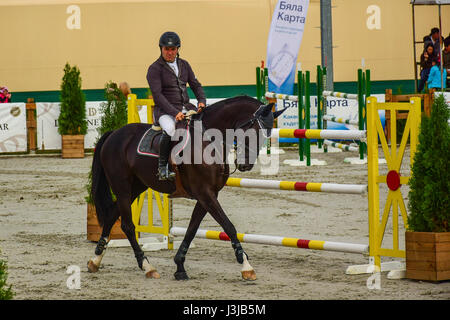 Reiten Sie, World Cup, Bozhurishte, Sofia, Bulgarien Stockfoto