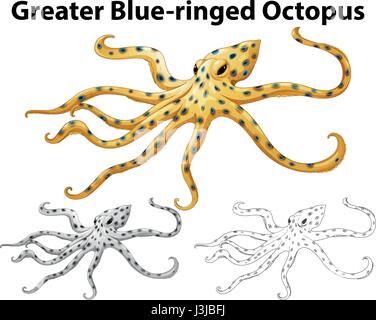 Doodle-Tier für größere Abbildung blau-beringte Krake Stock Vektor