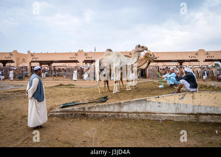 Kamel Händler und Kamelen ruhen auf dem Kamelmarkt Al Ain, befindet sich in Abu Dhabi, Vereinigte Arabische Emirate. Stockfoto