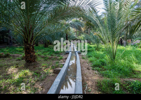 Vereinigte Arabische Emirate - Blick auf die Al Ain Oasis und seiner Jahrhunderte alten Bewässerungssystem. Es ist die größte Oase in Abu Dhabi, Vereinigte Arabische Emirate. Stockfoto