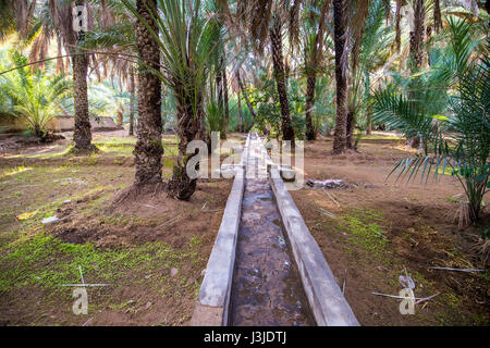 Vereinigte Arabische Emirate - Blick auf die Al Ain Oasis und seiner Jahrhunderte alten Bewässerungssystem. Es ist die größte Oase in Abu Dhabi, Vereinigte Arabische Emirate. Stockfoto