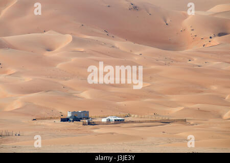 Liwa-Oase, Abu Dhabi, Vereinigte Arabische Emirate -i; Bauernhof mitten in der Wüstenlandschaft The Empty Quarter (Rub' al Khali) der arabischen Halbinsel ich Stockfoto