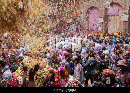 Holi Festiival in Brij, Barasnana, Utttar Pradesh, Indien, Asien Stockfoto