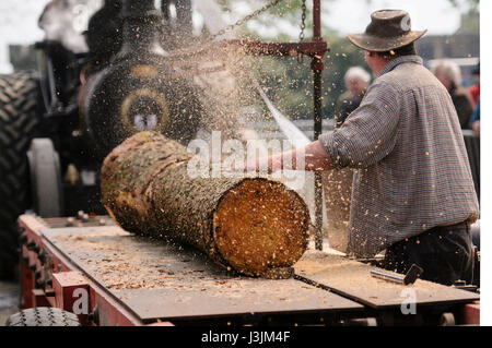 Eine Zugmaschine fährt eine alte altmodische tragbaren Sägewerk-Tabelle, wie es Holz aus einem Baumstamm schneidet. Stockfoto