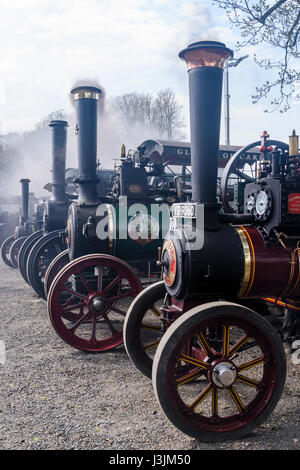 Es tritt Rauch aus den Schornsteinen aus vielen Lokomobile bei einem Steam fair Stockfoto