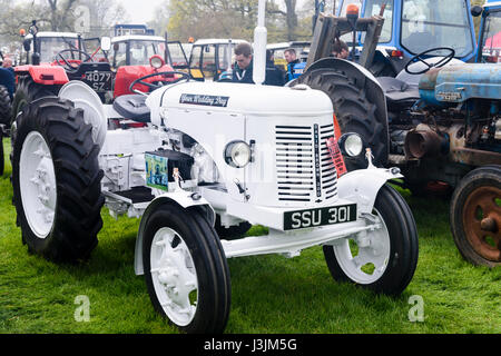 Eine weiße Massey Ferguson "Fergie" Traktor zu mieten bei Hochzeiten. Stockfoto