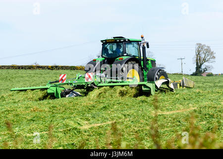 Landwirt in einen John Deere 6190 mit vorderen und hinteren Scheibenfräser Rasen schneidet die erste Ernte von Silage. Stockfoto