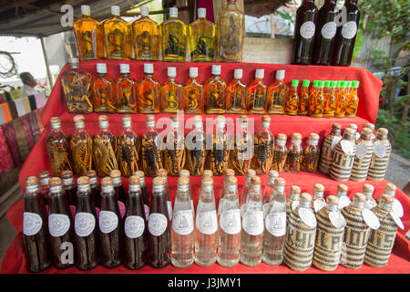 Lao Lao Whisky Shop im Lao Lao Dorf Ban Xabg Heu am Mekong Fluss in die Stadt Luang Prabang im Norden von Laos in Südostasien. Stockfoto