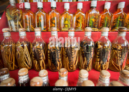 Lao Lao Whisky Shop im Lao Lao Dorf Ban Xabg Heu am Mekong Fluss in die Stadt Luang Prabang im Norden von Laos in Südostasien. Stockfoto