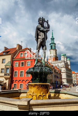 Polen, Großpolen, Poznan, Altstadt, Marktplatz, Brunnen von Apollo und Rathaus Stockfoto