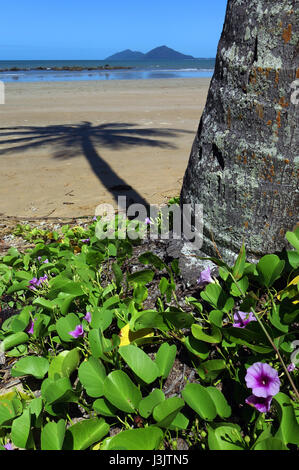 Mission Beach mit Dunk Island im Hintergrund, Queensland, Australien Stockfoto