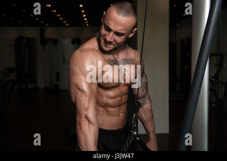 Gut aussehend muskuläre Fitness Bodybuilder schwere Übung für Trizeps Maschine In der Turnhalle Stockfoto