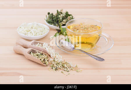 Tee aus den Blüten des weißen Erzengels Stockfoto