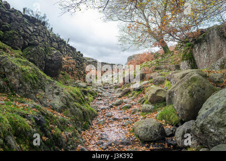 Ein felsiger Fußweg liefen neben Grasmere im Lake District, England Stockfoto