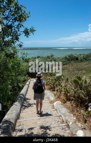 Schritte zum Strand hinunter und Inseln am Cacela Velha, Ria Formosa, Portugal Stockfoto