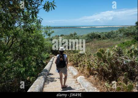 Schritte zum Strand hinunter und Inseln am Cacela Velha, Ria Formosa, Portugal Stockfoto