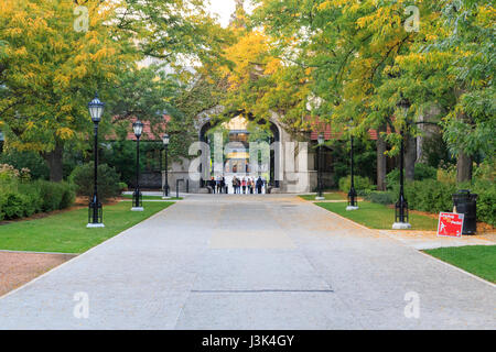 Tor auf dem Campus der University of Chicago im Herbst. Stockfoto