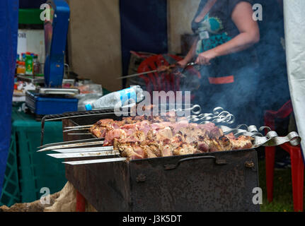 Spieße mit frischem Fleisch auf dem Grill rösten, über Holzkohle Stockfoto