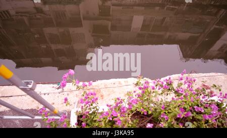 Gebäude-Architektur Spiegelbild im Kanal Wasser rosa Blüten in weißen Pflanzer. Was ist im Wasser? Stockfoto