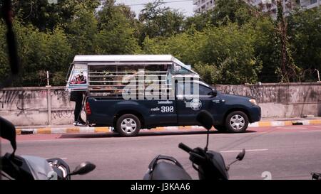 Baht Bus oder Songkaw oder Songthaew-Taxi Pattaya Beach Thailand Stockfoto