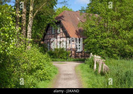 Wanderweg und walking promenade in der Bremer Schweiz alte Holzhaus, Bremen-Schönebeck, Bremen, Deutschland, Europa ich Wander-Und Spazierweg ich Stockfoto