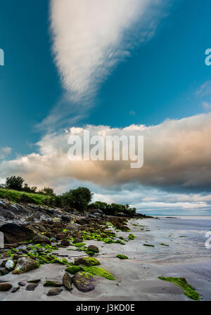 Cappagh Beach, Clockane (ein Clochán), Halbinsel Dingle, County Kerry, Irland, an einem schönen Sommerabend kurz vor Sonnenuntergang mit der Flut Stockfoto