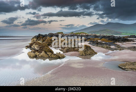 Cappagh Beach, Clockane (ein Clochán), Halbinsel Dingle, County Kerry, Irland, an einem schönen Sommerabend kurz vor Sonnenuntergang mit der Flut Stockfoto