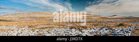 Kalkstein Pflaster an Keelhilla National Nature Reserve, Burren, County Clare, Irland Stockfoto