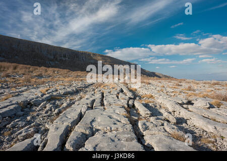 Kalkstein Bürgersteig vor Slieve Carran an Keelhilla National Nature Reserve, Burren, County Clare, Irland Stockfoto