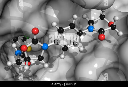 Blutgerinnungsfaktor Xa mit Rivaroxaban (Inhibitor) gebunden. Rolle bei der Blutgerinnung und Thrombose. Rivaroxaban Atome als farbcodierte sp Stockfoto