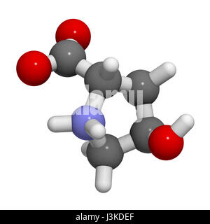 Hydroxyprolin (Hyp) Kollagen Baustein, Molekülmodell. Atome sind als Kugeln mit konventionellen Farbcodierung vertreten: Wasserstoff (weiß), Carb Stockfoto