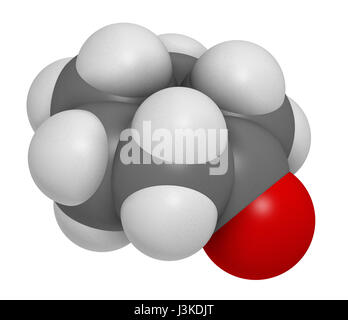 Cyclohexanon organisches Lösungsmittel Molekül. Vorläufer des Nylon Atome werden als Kugeln mit konventionellen Farbkodierung dargestellt: Wasserstoff (weiß), Kohlenstoff () Stockfoto