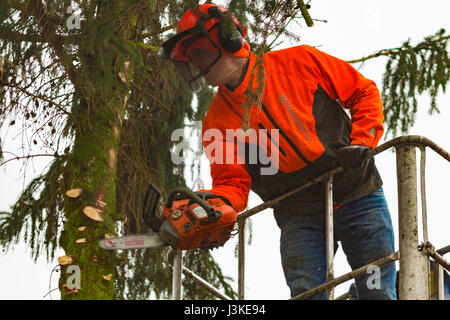 Holzfäller-schneiden-Baum mit einer Motorsäge. Stockfoto