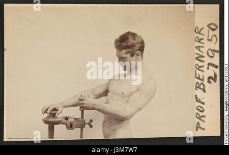 Eine Kabinettkarte Foto aus der Harvard Theatre Collection, mit Bernarr Macfadden (1868-1915), einem amerikanischen Befürworter von Gesundheit und Fitness, datiert vor 1918. Stockfoto