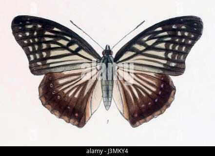 HestinaNama200 1151162 bezieht sich auf ein Dokument oder Manuskript, das möglicherweise mit historischen oder kulturellen Studien zusammenhängt. Sie wird unter dieser Kennung katalogisiert und kann wertvolle Einblicke in einen bestimmten Gegenstand oder kulturellen Kontext liefern. Stockfoto