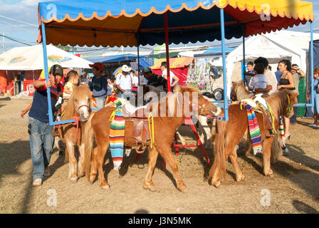 Valladolid, Mexiko - 25. Januar 2009: Kinder reiten Ponys ein Karussell bei einem Stierkampf in Valladolid auf Mexiko Stockfoto