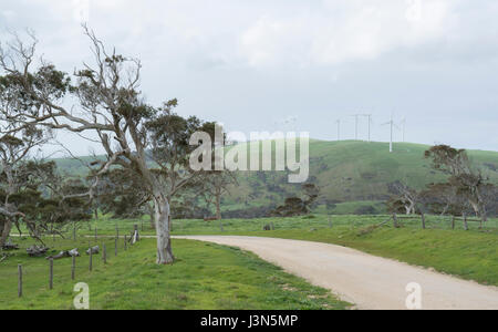 South Australian bush Feldweg mit Windkraftanlagen eifrig Stromerzeugung auf den Hügeln im Hintergrund. Fleurieu-Halbinsel, zwischen Kap Jerv Stockfoto