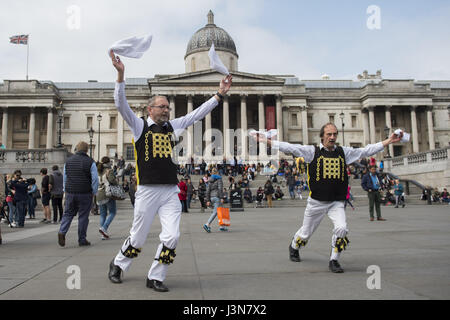 Mitglieder der Westminster Morris Männer nehmen Teil in des Teams der jährliche Tag des Tanzes am Trafalgar Square in London, mit Morris tanzen Teams aus ganz England. Stockfoto