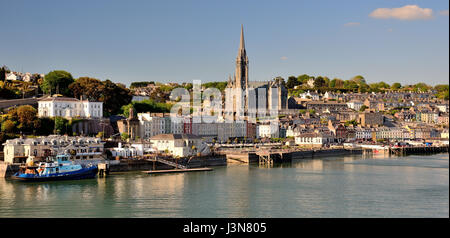 Waterfront Häuser und St Colmans Kathedrale in Cobh. Stockfoto