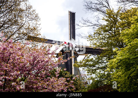 Dekorative Windmühle im Keukenhof Stockfoto
