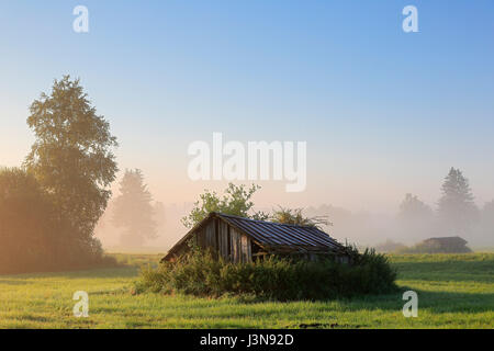 Holzhuette, Pfrunger-Burgweiler Ried, Baden-Württemberg, Deutschland, Europa Stockfoto