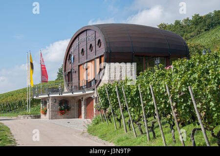 Wein-Fass, Weinberge, Ingelfingen, Kochertal, Region Hohenlohe, Baden-Württemberg, Heilbronn-Franken, Deutschland Stockfoto