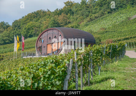 Wein-Fass, Weinberge, Ingelfingen, Kochertal, Region Hohenlohe, Baden-Württemberg, Heilbronn-Franken, Deutschland Stockfoto