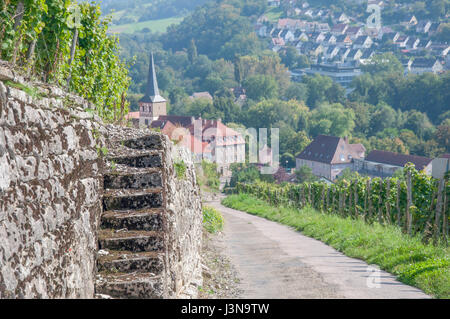 Weinberge, Ingelfingen, Region Hohenlohe, Baden-Württemberg, Heilbronn-Franken, Deutschland Stockfoto
